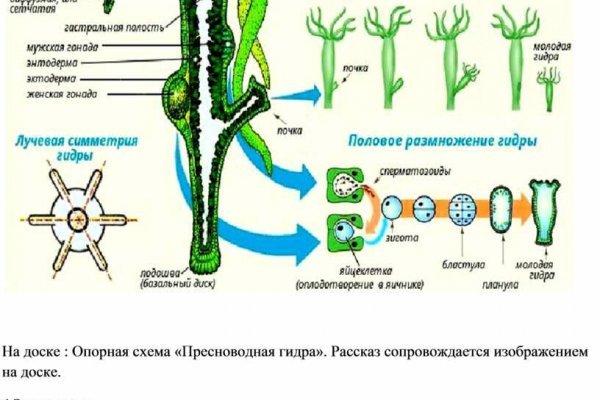 Кракен официальный сайт 2krnk cc